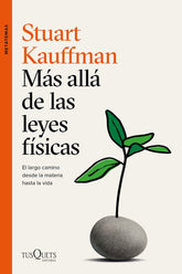 MAS ALLA DE LAS LEYES FISICAS - 9788490669273